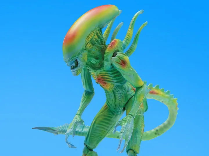 Alien vs. Predator Alien Warrior (Thermal Vision) 1:18 Scale PX Previews Exclusive Figure