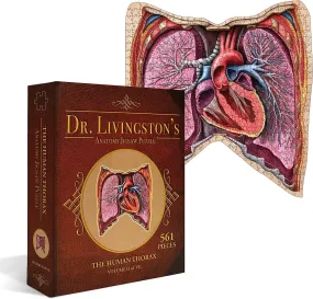 Human Thorax Anatomy Jigsaw Puzzle | Dr Livingston's Unique Shaped Science Puzzles, Accurate Medical Illustrations of the Body, Organs, Lungs and Heart