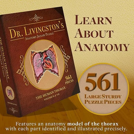 Human Thorax Anatomy Jigsaw Puzzle | Dr Livingston's Unique Shaped Science Puzzles, Accurate Medical Illustrations of the Body, Organs, Lungs and Heart