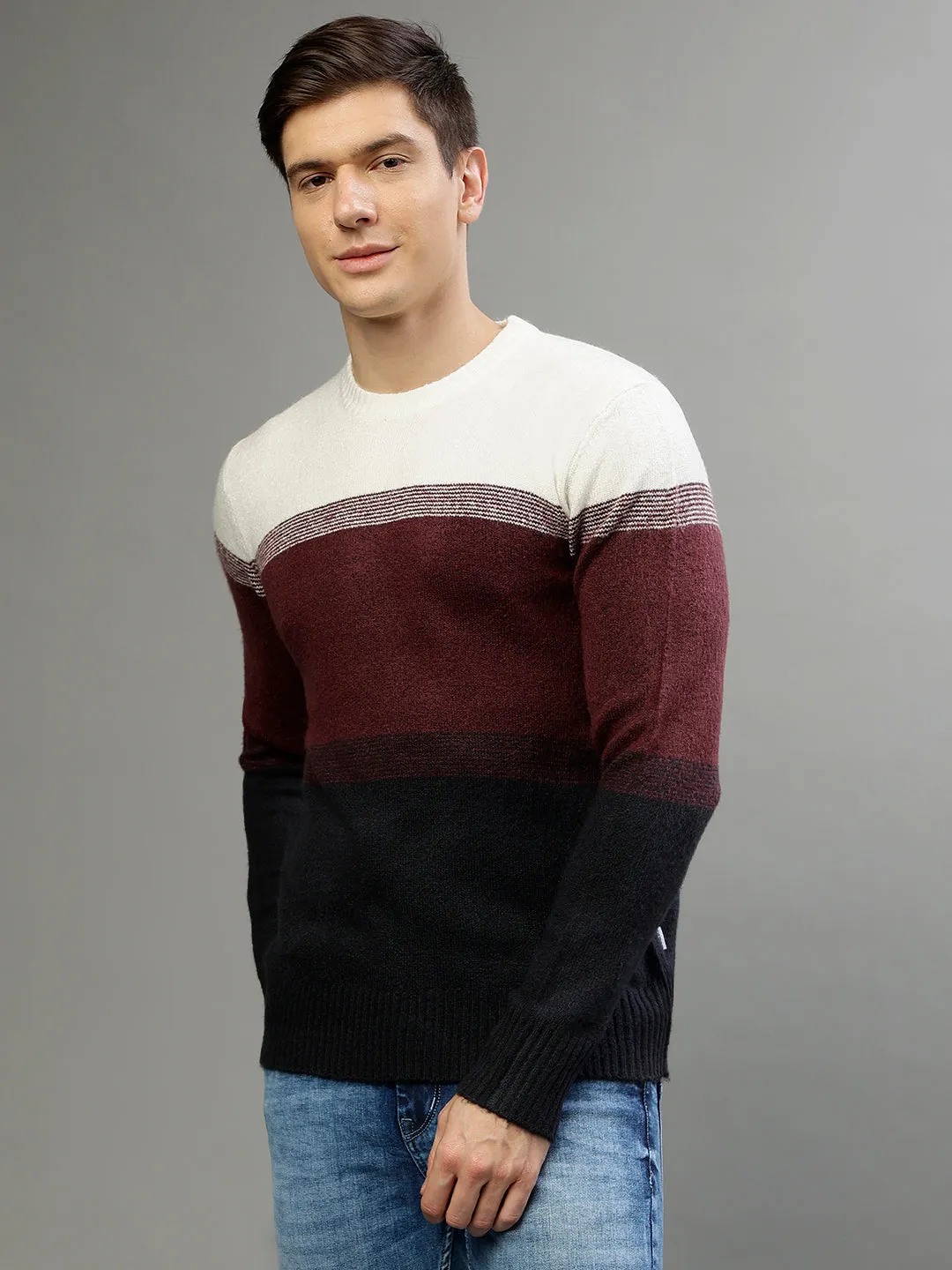 Lindbergh Men Colour blocked Round Neck Full Sleeves Sweater