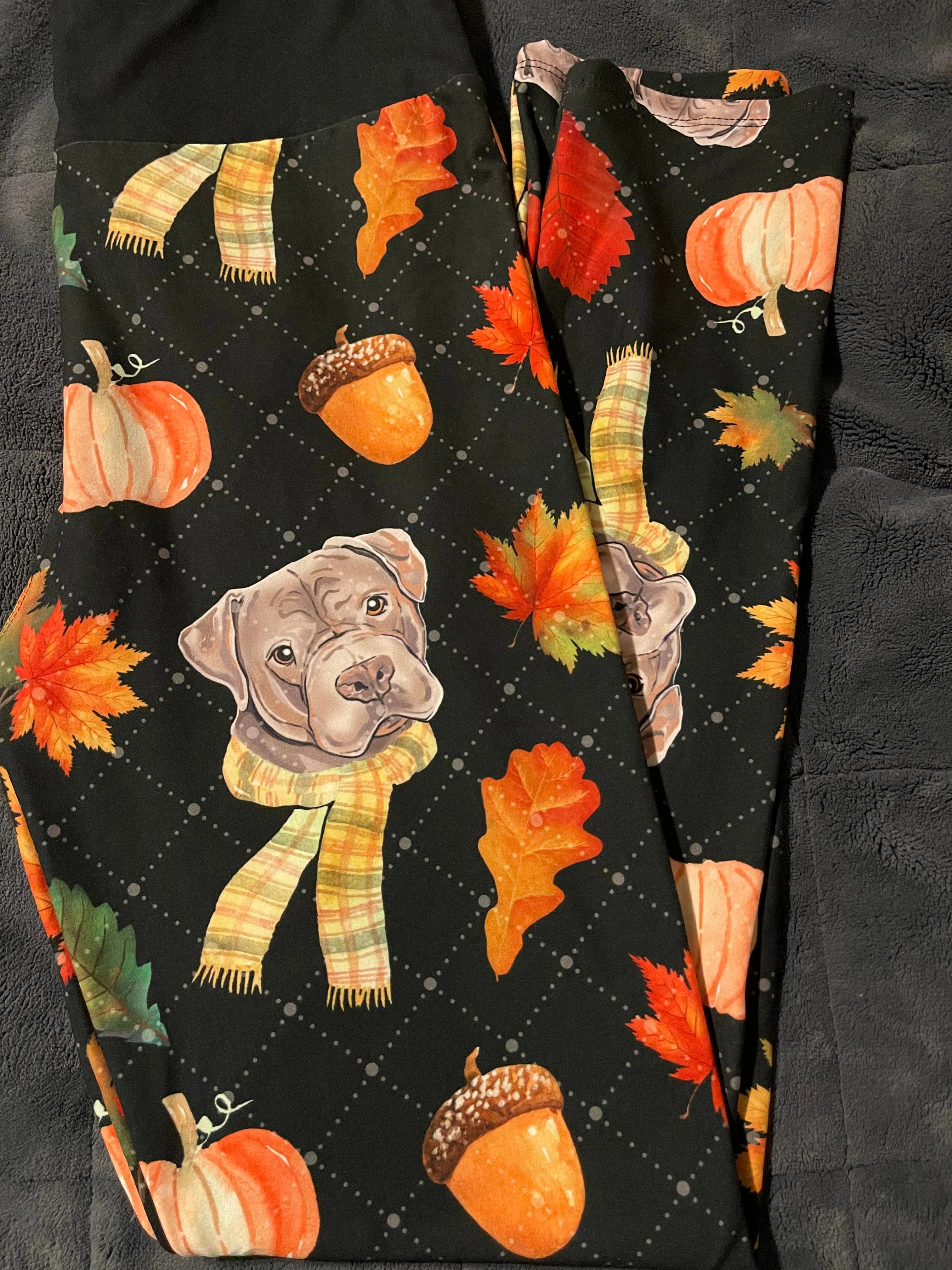 Pitt bull Fall Leggings